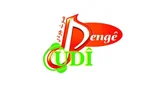 Logo Denge Cudi - Deutschland, Berlin, Berlin