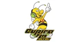 Λογότυπο Rádio Cupira FM - Brasil, Pernambuco, Cupira